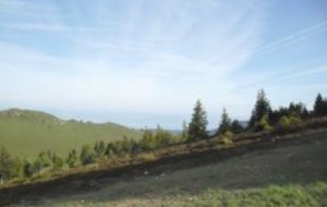 TRAIL DES ALLOBROGES