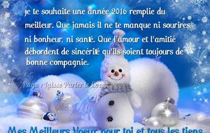 BONNE ANNEE 2016