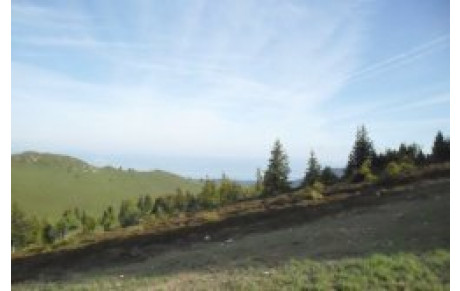 TRAIL DES ALLOBROGES