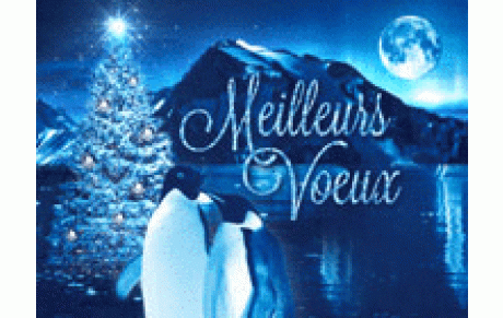 BONNE ANNEE 2014
