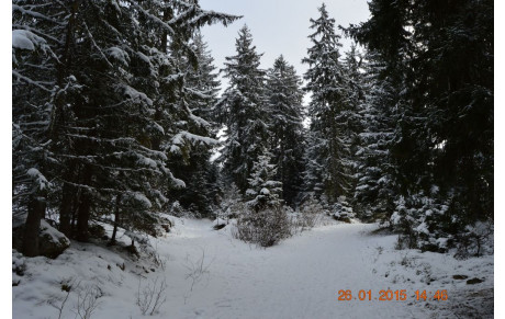 TRAIL BLANC DE PRALO